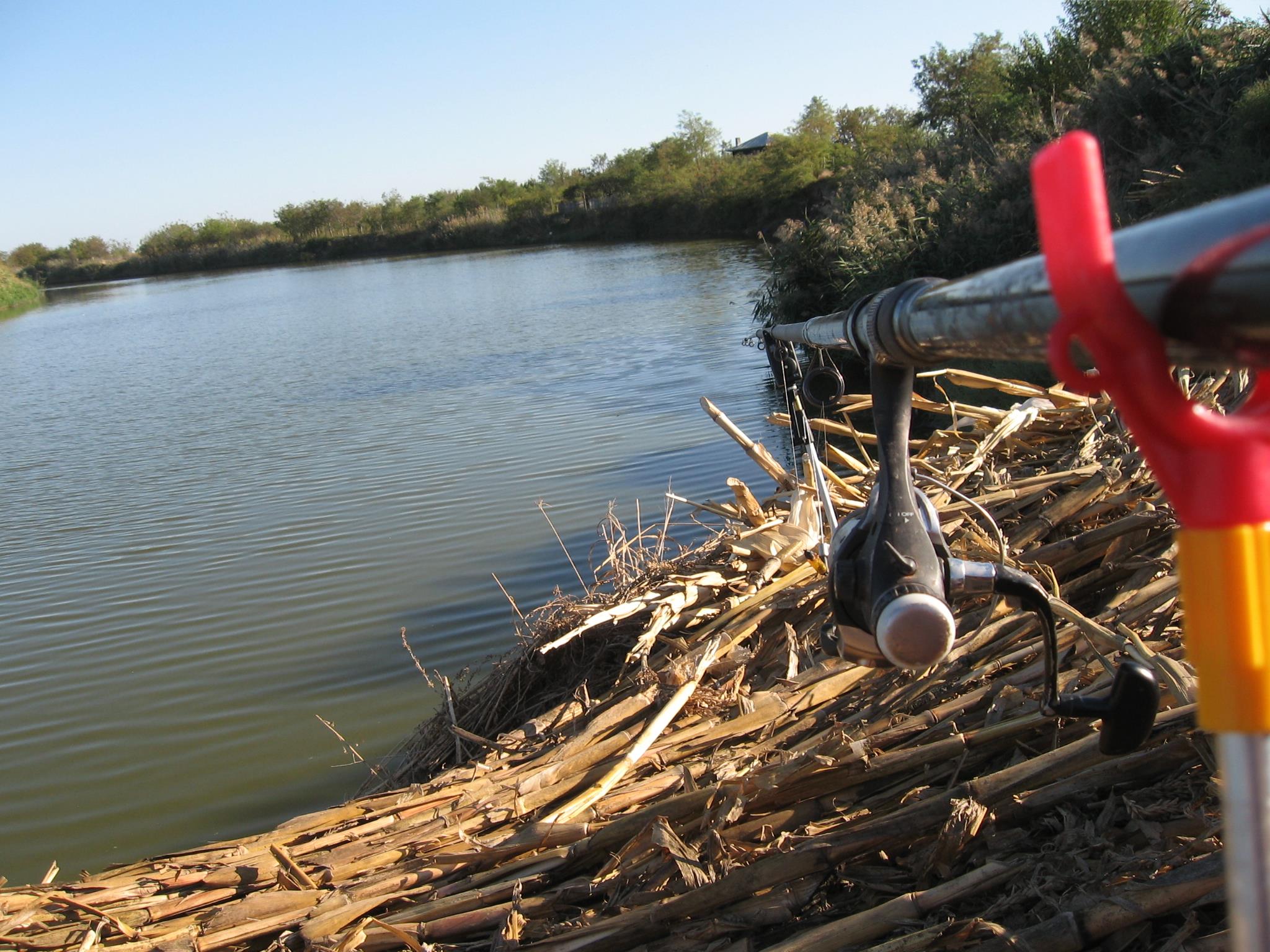 Calieni - IMG_9283.JPG